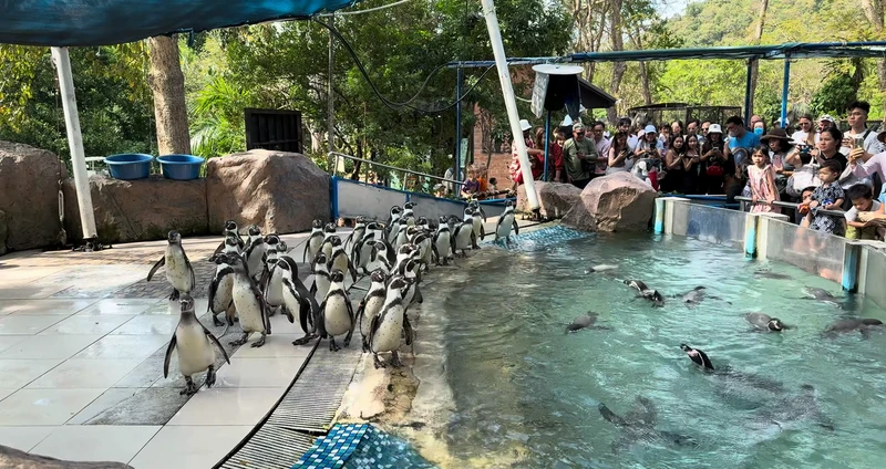 Из Паттайи - в мир дикой природы: зоопарк Кхао Кхео