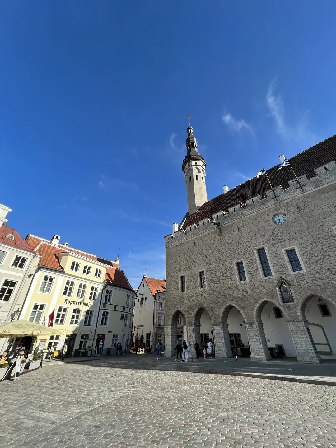 С улыбкой по Старому Таллину (Ирина)