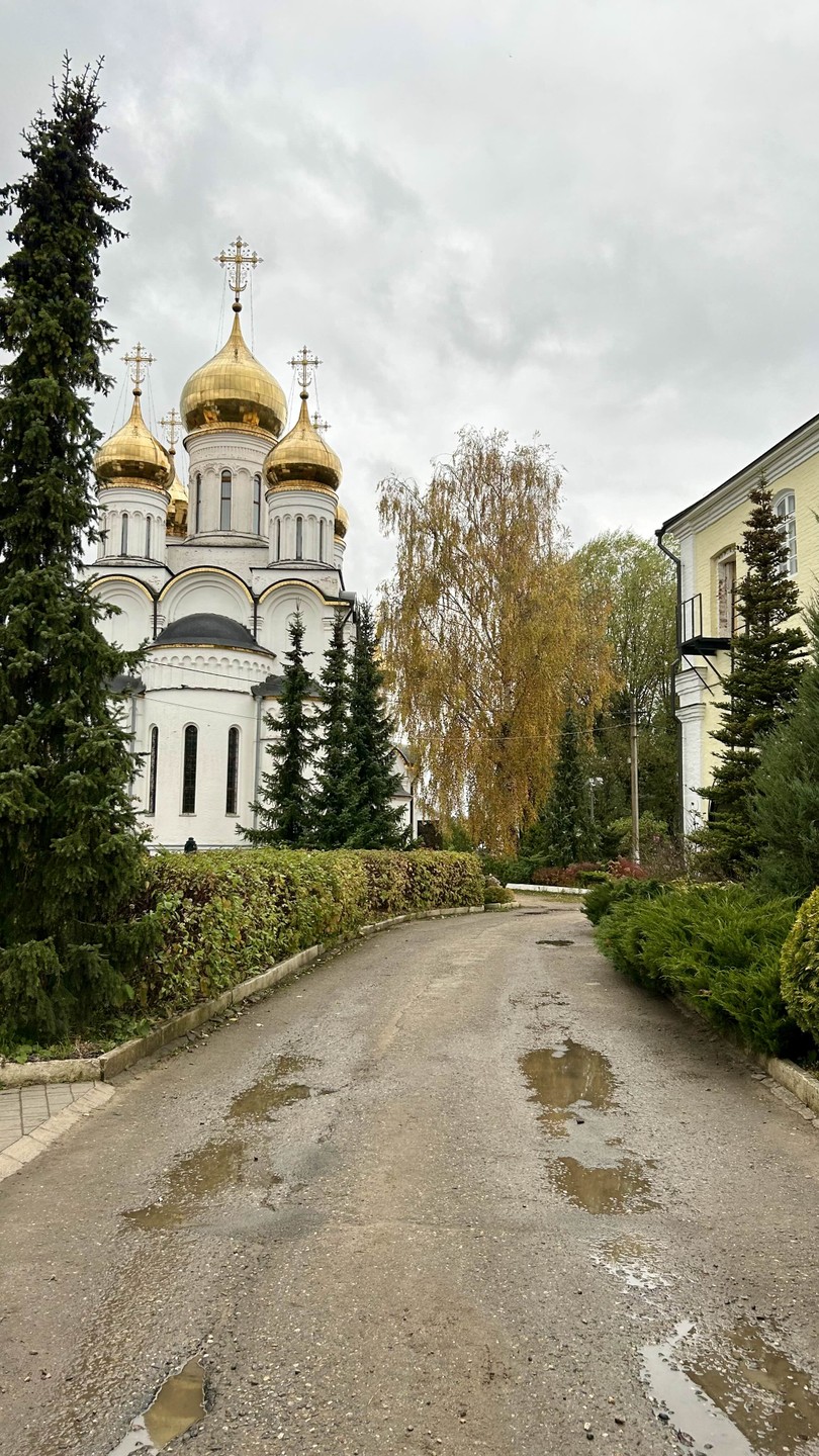 Нам очень понравилась экскурсия с Ольгой Евгеньевной! Невероятная подача, обширные знания и просто очень приятное общение