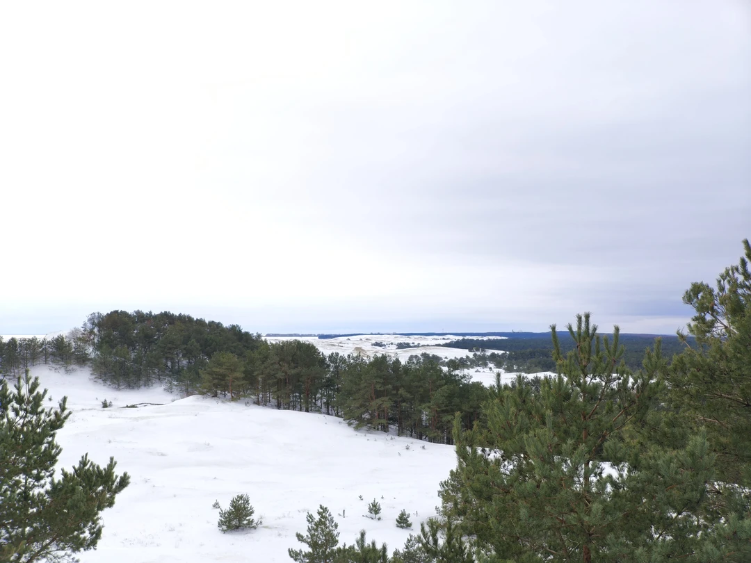 Огромное спасибо Регине за прекрасную экскурсию. Узнади много интересного. Природа прекрасна в любое время года