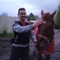 Фото отзыва 1: экскурсия "Конная прогулка в Нижнем Новгороде"