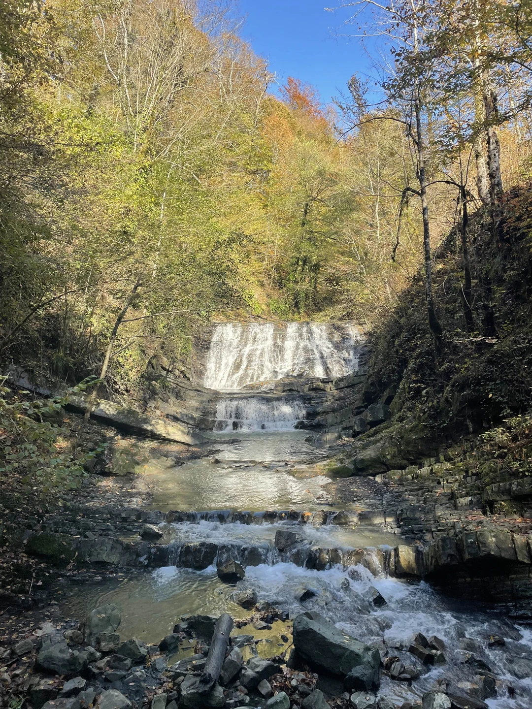 Александр профессиональный и очень увлеченный своей работой специалист!