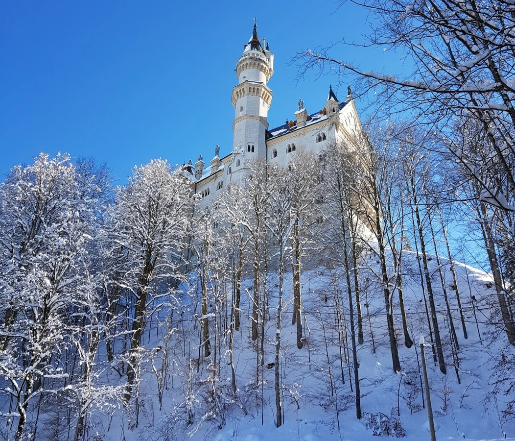 Замки баварских королей и диковинки Альп на вашем авто или на поезде
