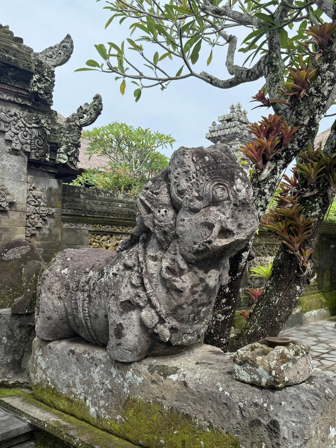 Влюбиться в волшебный Бали за 1 день (Елена)