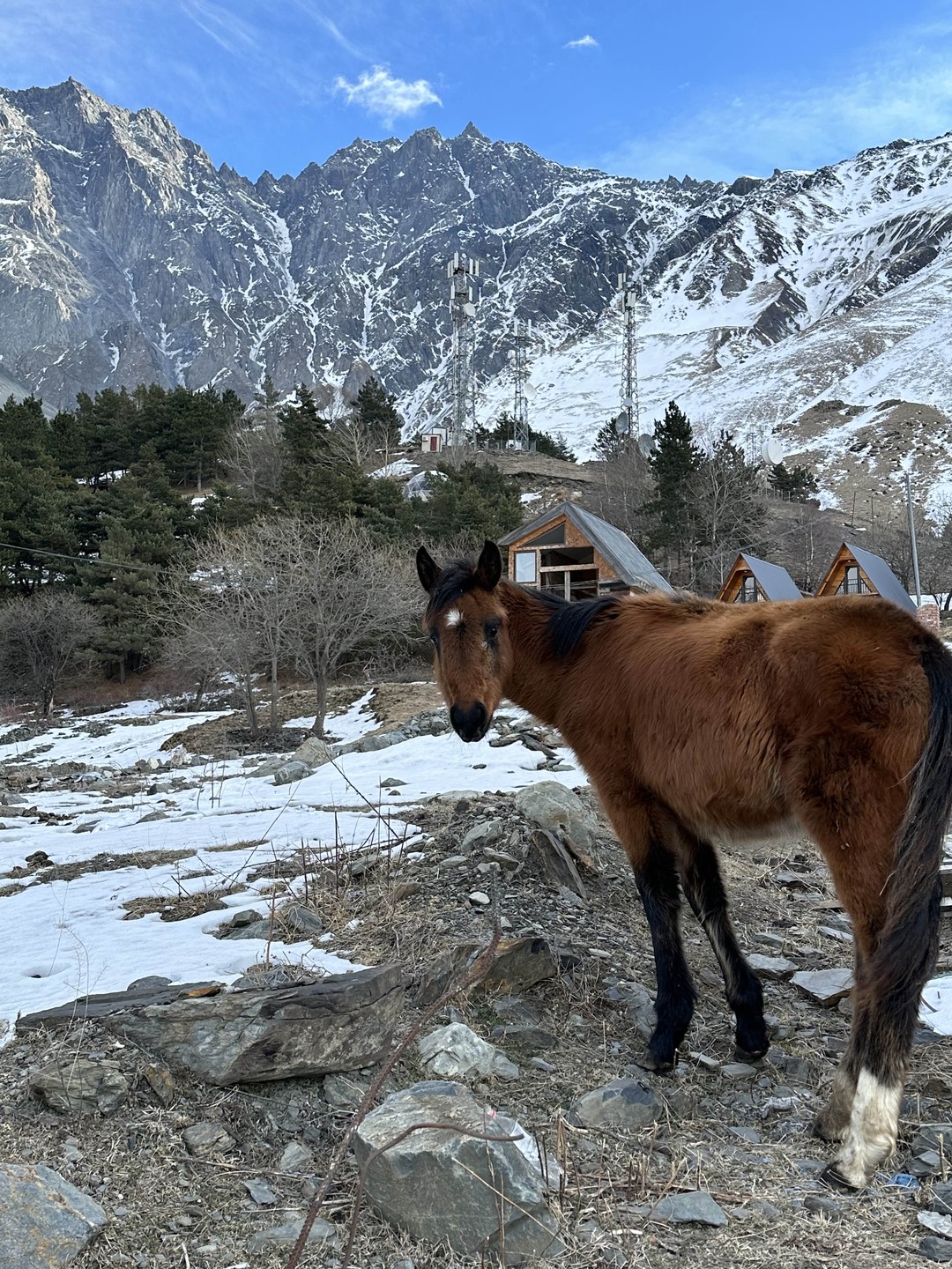 Тур одного дня: Мцхета, Казбеги, Ананури (Светлана)