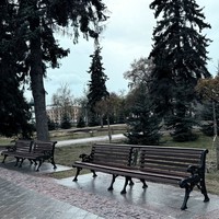 reviews img