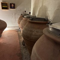 Фото отзыва 2: экскурсия "Гастропутешествие по винному региону — Бургундии"