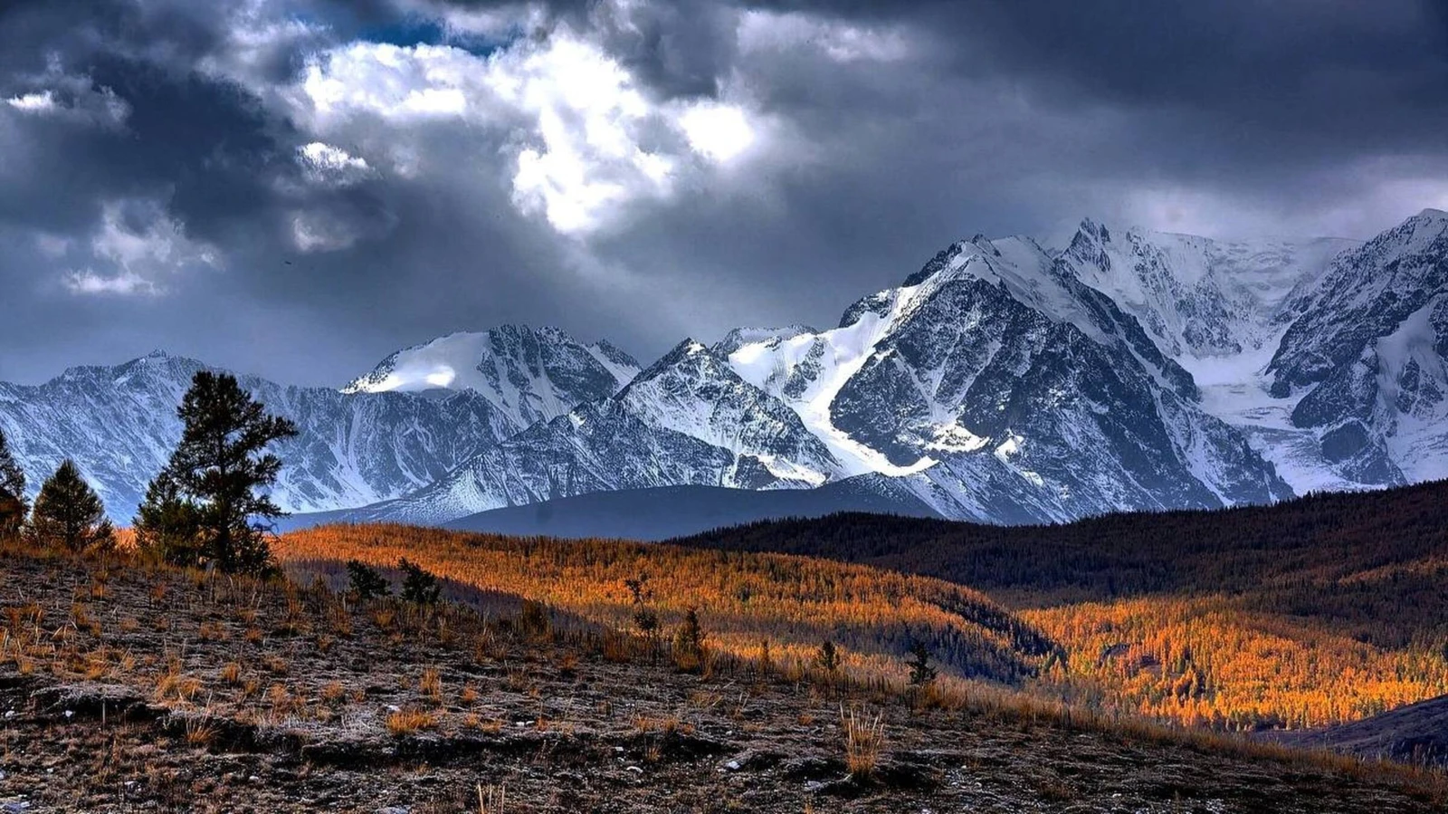 Шёлковый путь Алтая — из Горно-Алтайска