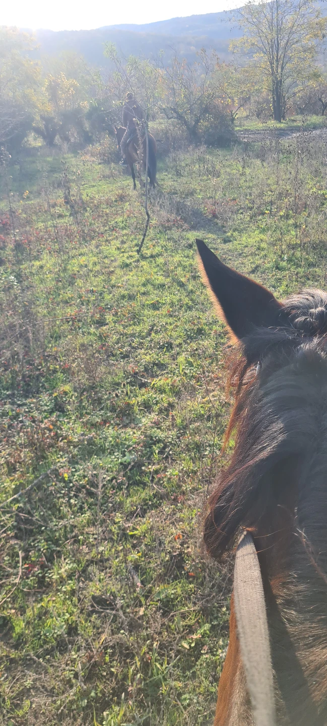 В маршруте предполагалось: озеро Грек, сосновые леса, цветущие луга и смотровая площадка в Дивноморском