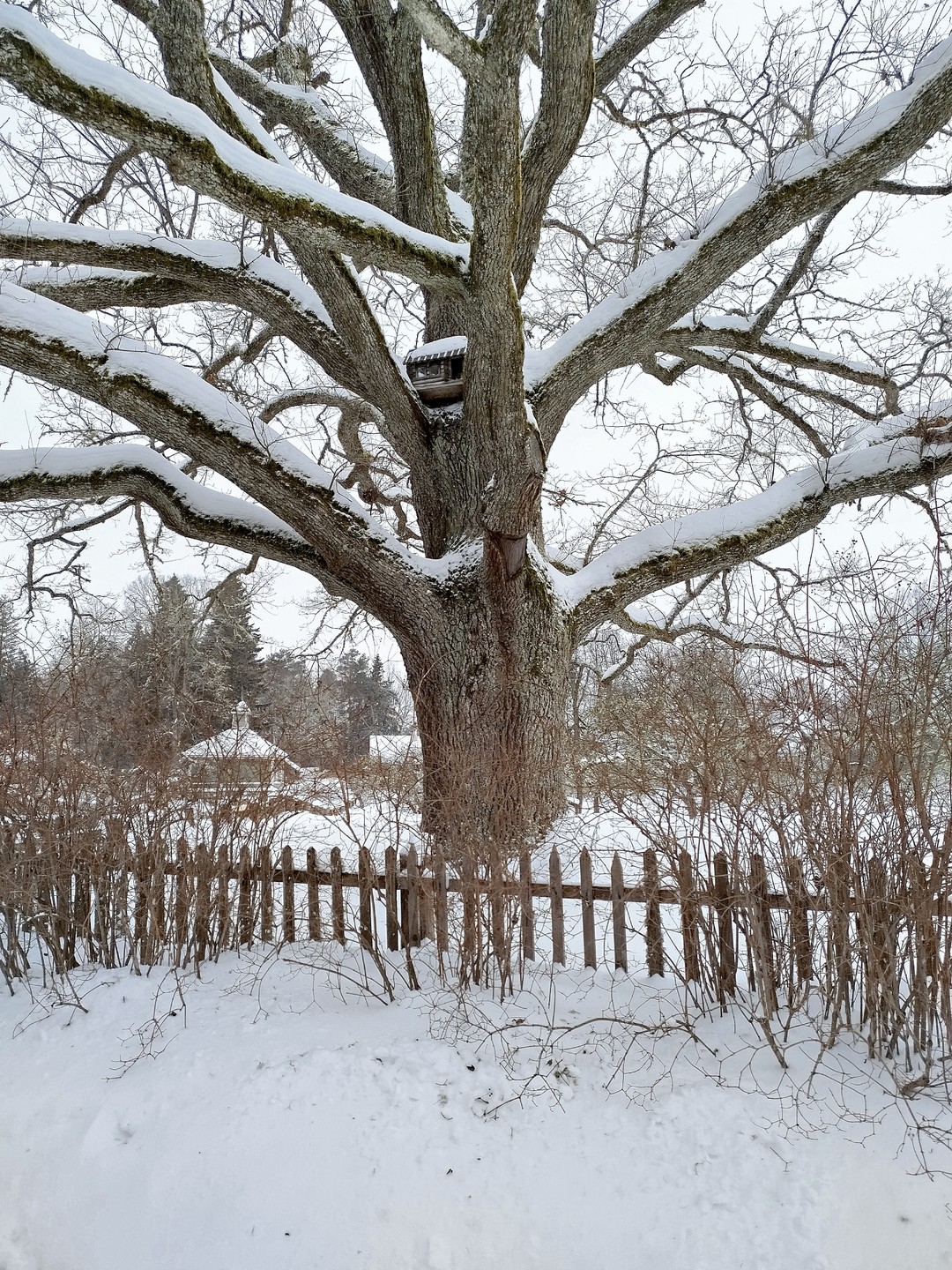 Из Пскова в Пушкинские Горы: Михайловское и Тригорское (Ирина)