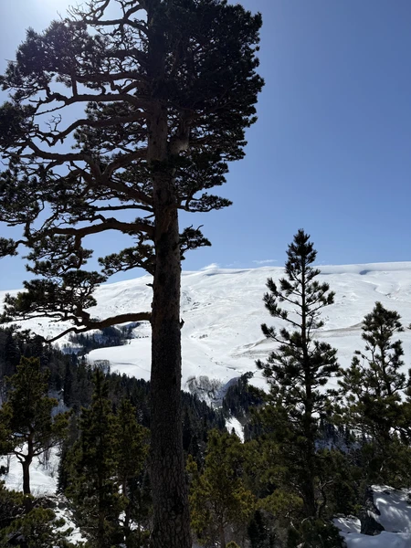 Мария, профессионал своего дела, замечательный гид, интересная подача материала и красивые локации!!!! Спасибо за отличный день!)