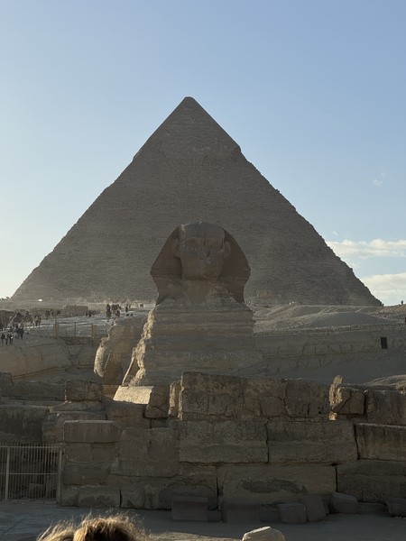 Мы очень рады тому, что наш выбор остановился именно на этом туре в Каир. Вся организация