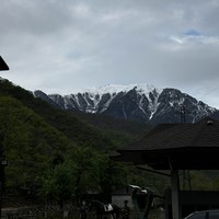 Фото отзыва 2: экскурсия "Экскурсия из Сочи в Абхазию: пять звёзд"