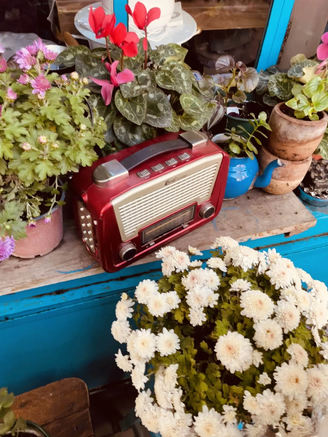 Фотопрогулка в Стамбуле: по Азии вдоль Босфора (Василиса)