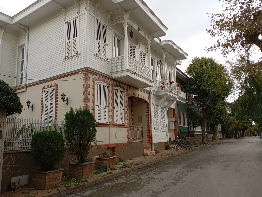 Наш гид, приятная девушка Луиза! Достаточно интересно и просто рассказала исторических локациях "Принцевых островов", дала некоторые