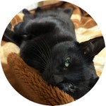 Аватар путешественника
