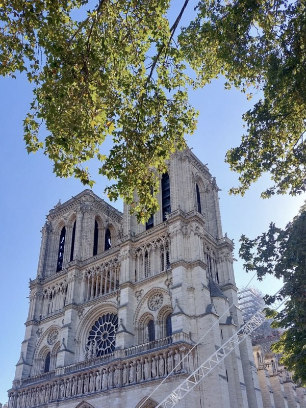 Фото отзыва 6: авторский тур "Жемчужины Западной Европы: Франция, Бельгия, Голландия с экскурсиями на выбор"