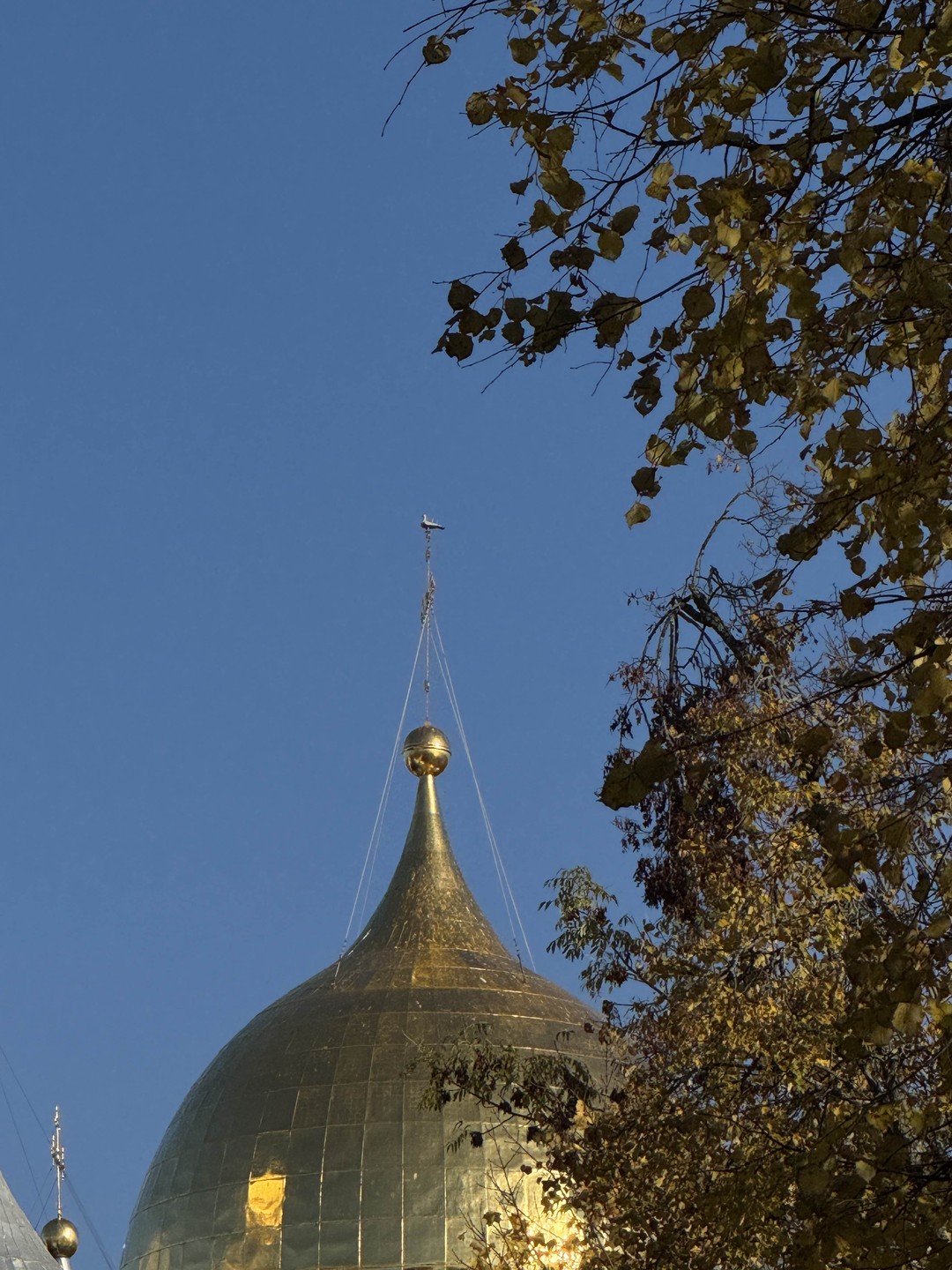 В октябре побывала на экскурсии по Великому Новгороду с замечательным экскурсоводом Константином. Константин рассказал массу интересных