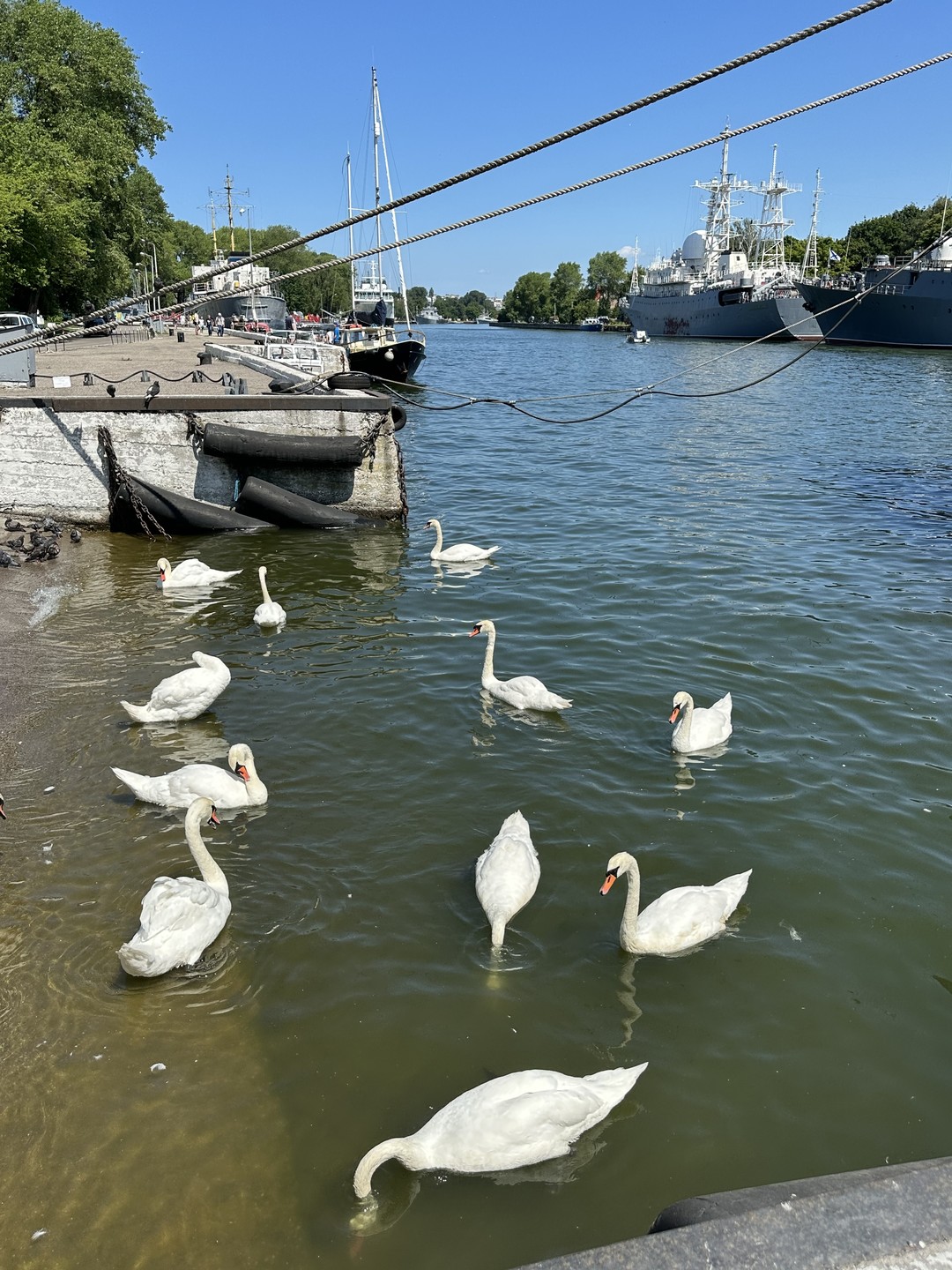 У нас был чудесный день с гидом Натальей. Она кладезь информации, подает ее структурно, логично, запоминающееся