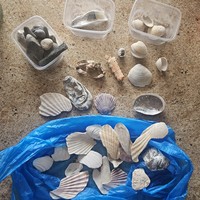 Фото отзыва 1: экскурсия "Город Корсаков и прогулка по побережью Охотского моря"