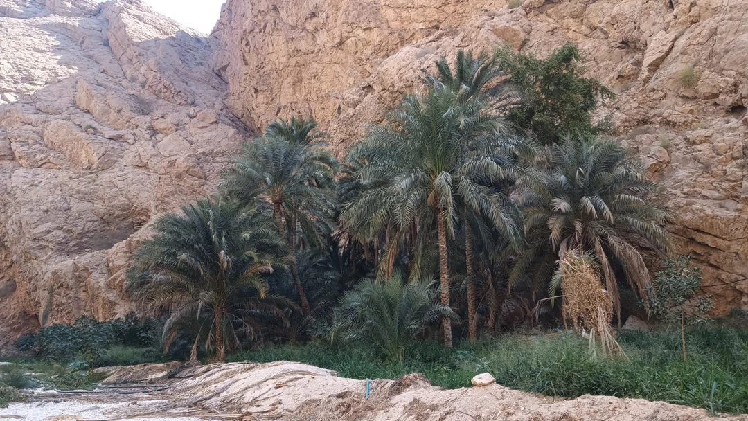 Большое спасибо гиду Марине! Очень интересное путешествие. Уважительное и заботливое отношение к туристам. Узнал много информации