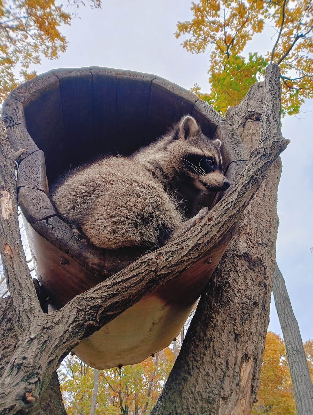 Сафари-парк и три бухты: Муравьиная, Шамора и Стеклянная (в мини-группе) (Ольга)