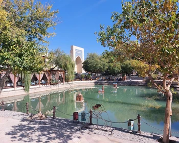 Переезд в Бухару, Старый город, ужин и танцевальное шоу