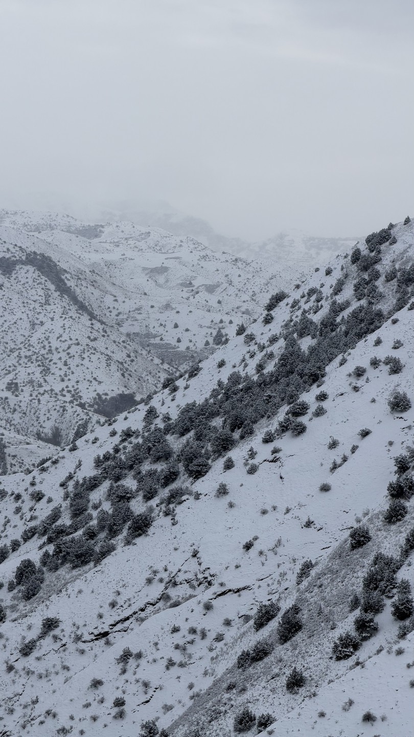 Арарат подарил нам потрясающий день, полный удивительных красот Армении. На протяжении всей экскурсии получали огромное удовольствие
