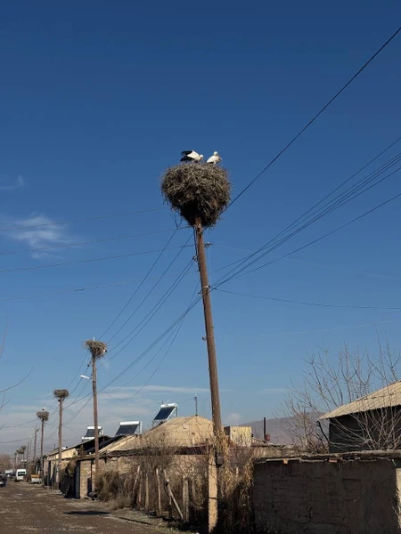 Эта экскурсия — настоящее сокровище, которое откроет вам душу древней Армении за один незабываемый день! Маршрут
