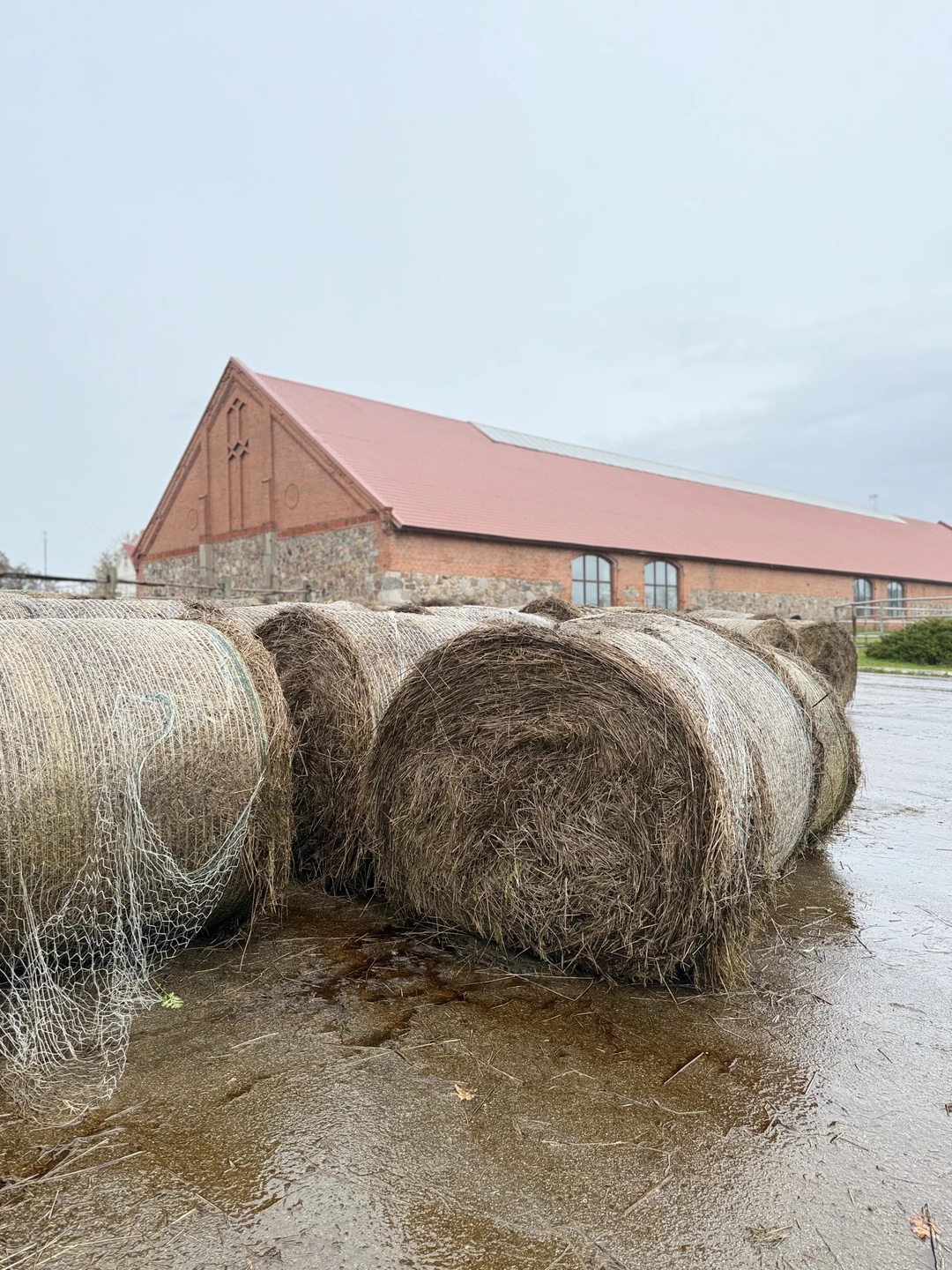 Шикарная экскурсия, нас забрали прямо от места проживания на комфортном и чистом автомобиле