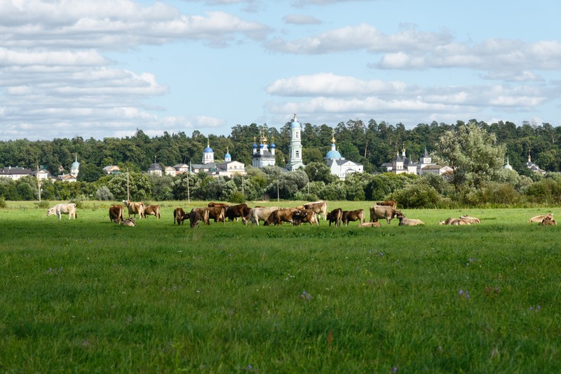 Оптина пустынь и Шамордино: по местам легендарных старцев
