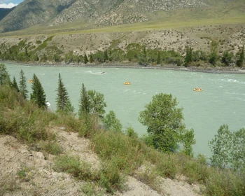 Каменные грибы, переезд к Телецкому озеру