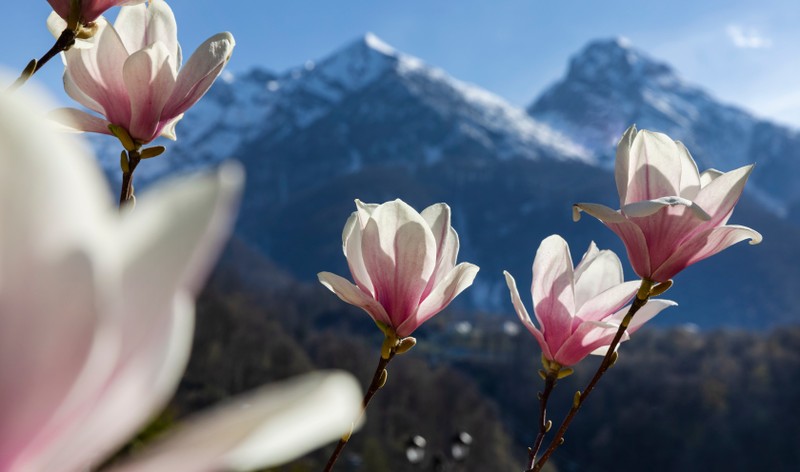 Джип-тур в горах Красной Поляны: 2 походных дня с палатками и рюкзаками, экскурсии и «Роза Хутор»