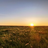 Фото отзыва 1: экскурсия "Ночь в калмыцкой степи: по следам кочевников"