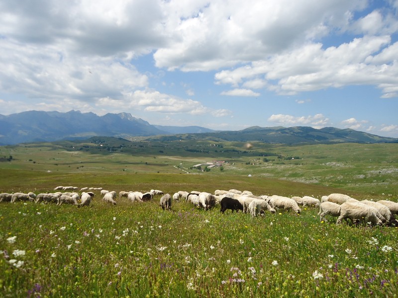 На север Черногории