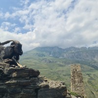 Фото отзыва 4: экскурсия "Лучшее в Северной Осетии: ущелья, горы, водопады"