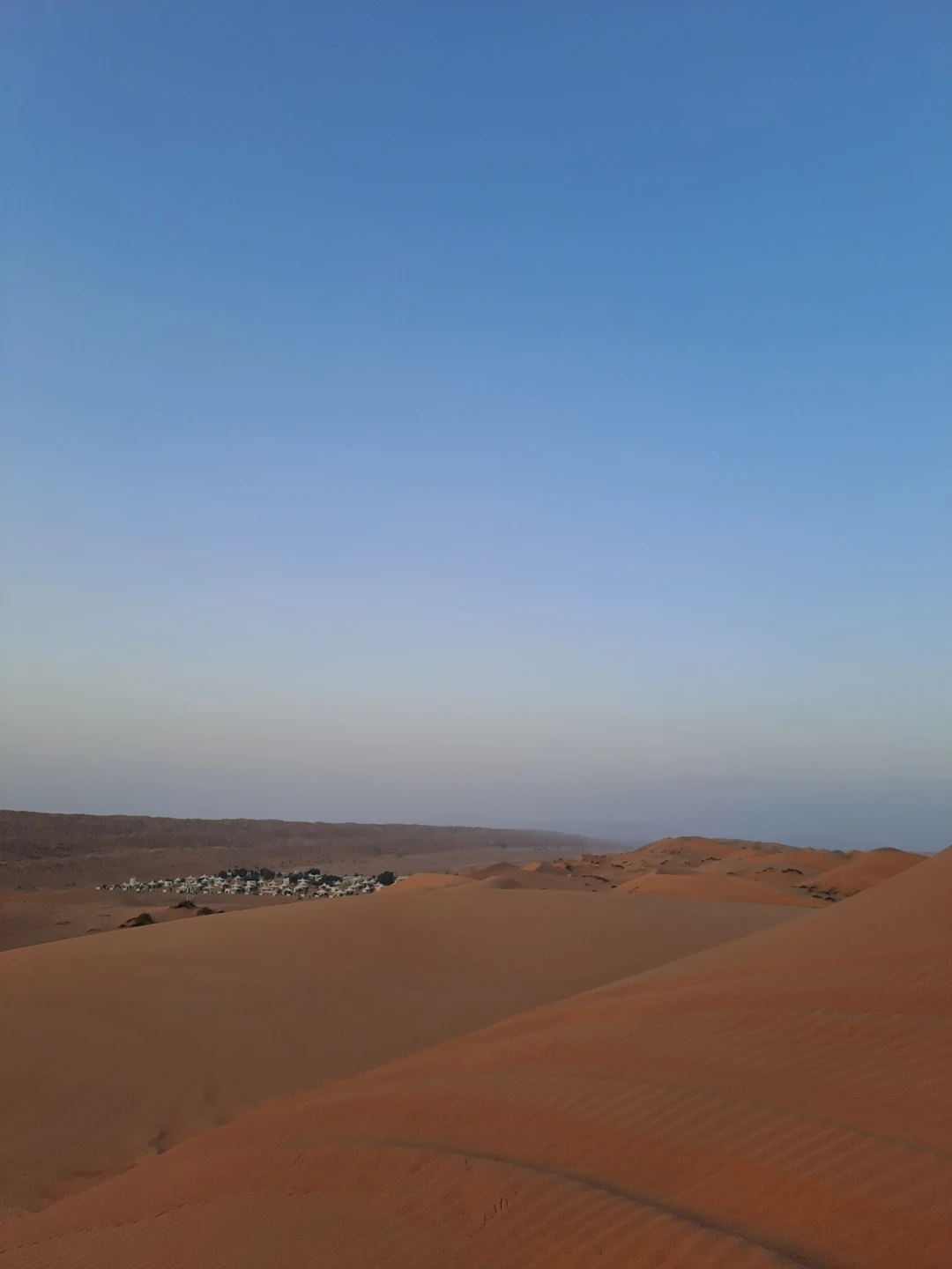 Хочу поделиться восторгом от экскурсии «Пески и оазисы Омана»! Это был день, который превзошел все ожидания и подарил ощущение настоящего приключения.