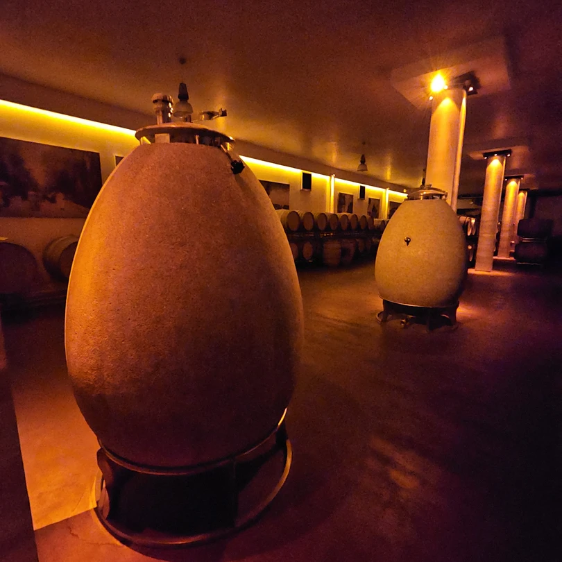 Отличная экскурсия и очень замечательный и доброжелательный гид! Ольга - сомелье и знаток виноделия! Ее приятно