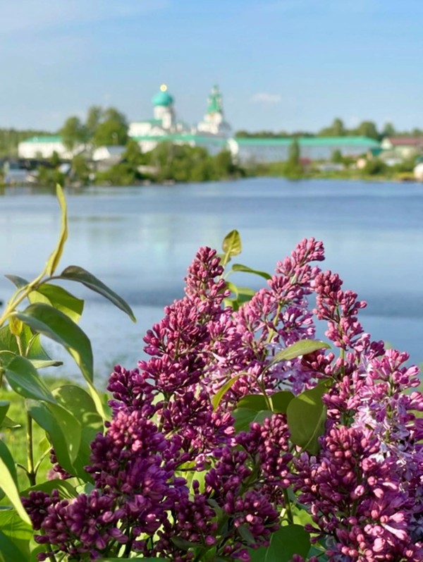 Из Петербурга - к монастырю Александра Свирского и другим святыням