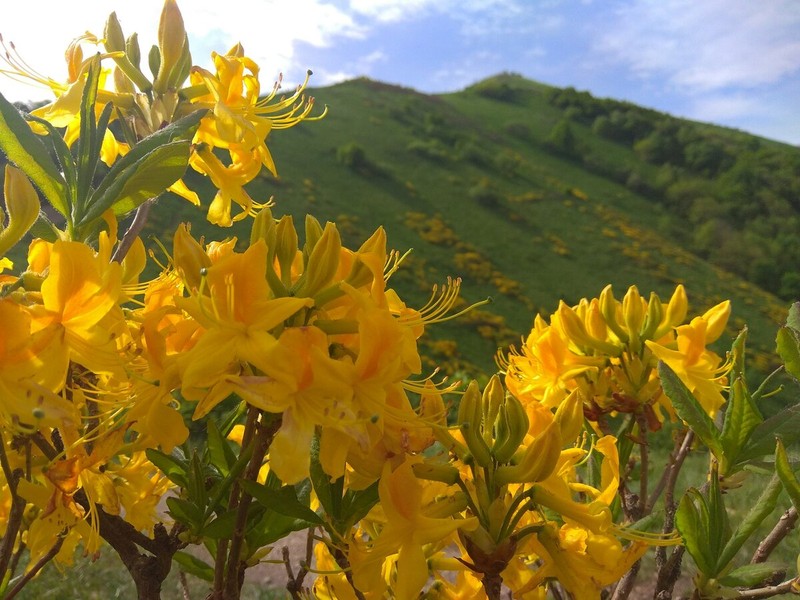 Фото отзыва 2: экскурсия "Весь Кисловодск, окрестности и Медовые водопады за 1 день"