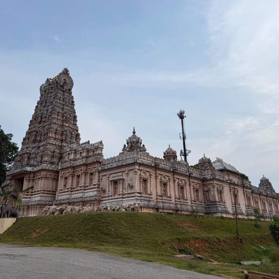 Трансфер в Куала-Селангор — к светлячкам и лангурам