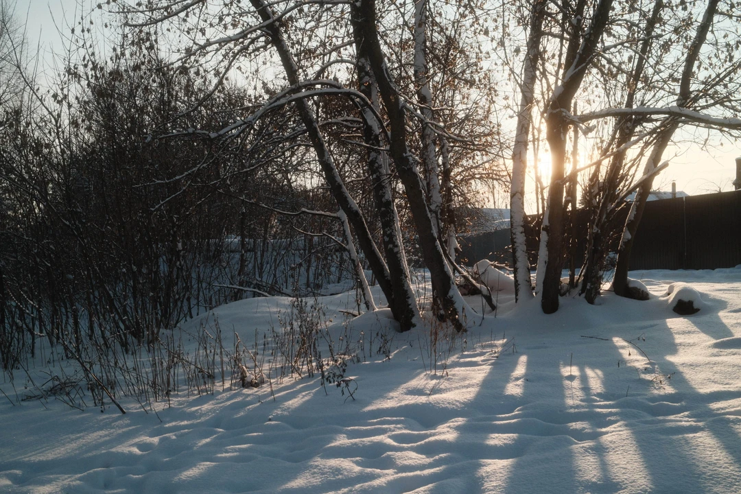 Вышла добрая поездка на лошадях в сопровождении бодрого пса Швондера. Очень хотелось посмотреть на нормальную русскую