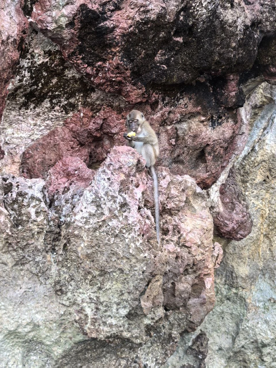 Все прошло прекрасно, на острове были практически одни, еще одна группа туристов (человек 5-6) не счет