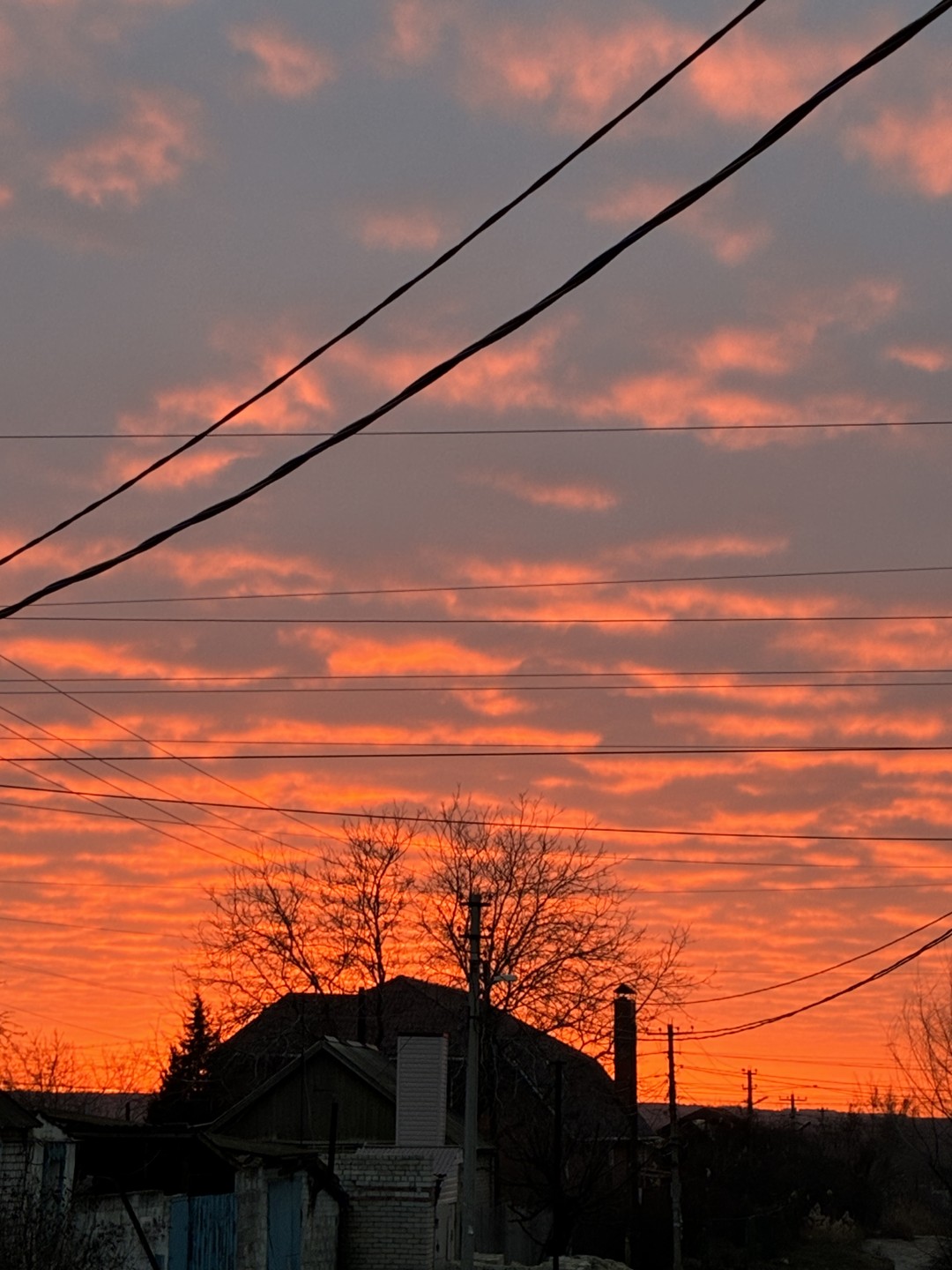 Индивидуальная Экскурсия с собакой с тарифами (Ислам)