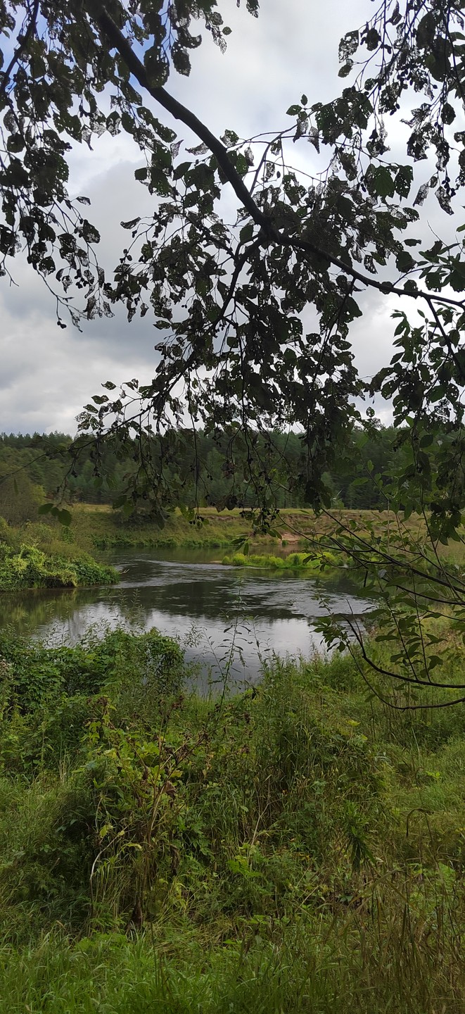 Мы были на этой замечательной экскурсии в августе. Евгений прекрасный рассказчик, фотограф, человек. Помогал в дороге
