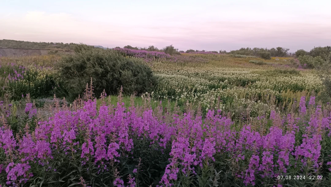 Офигенно, волшебно, восхитительно! Гид - 11/10, маршрут очень интересный, виды - просто завораживают! Крайне рекомендую
