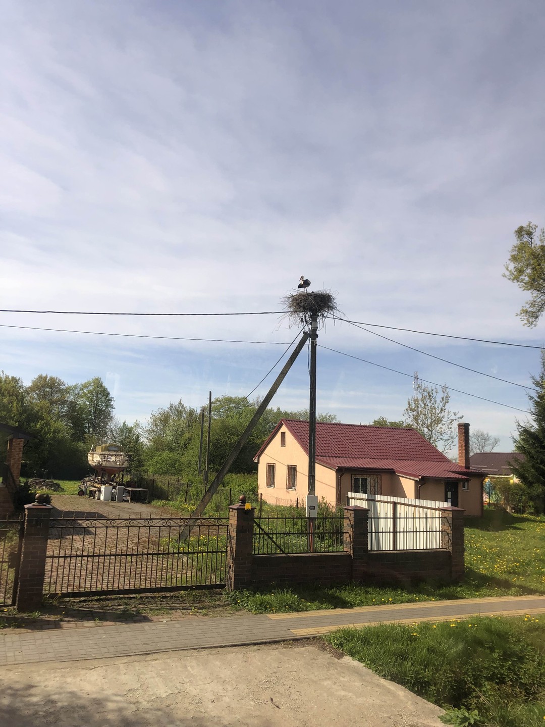 К курортам Светлогорск и Янтарный (с посещением янтарного производства) (Татьяна)