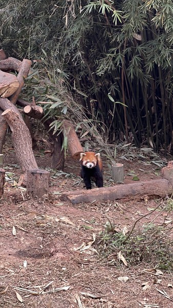 Ольга очень приятная собеседница. Поекрасно владеет информацией как исторической, так и современными фактами о жизни города