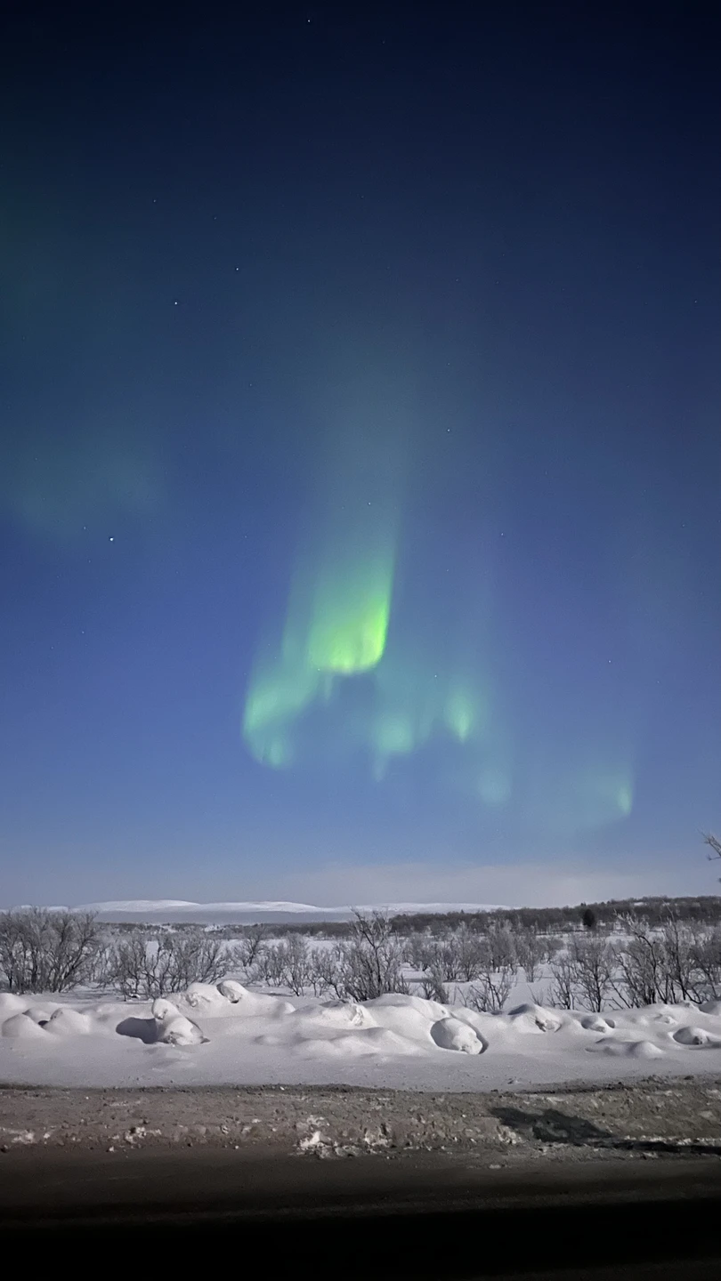 Северное сияние: увидеть главное чудо Заполярья (Дарина)