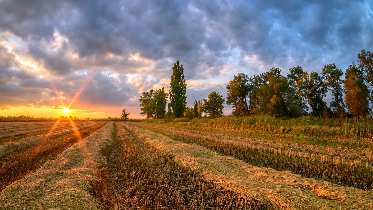 Вулкан Шуго, грязевые ванны и конная прогулка (3/7)